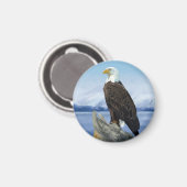 Bald Eagle Magnet Magneet (Voorkant / Achterkant)