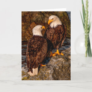 Bald Eagle Mates Hartelijk dank Bedankkaart