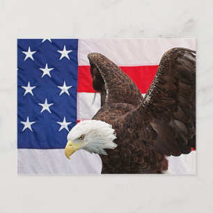 Bald Eagle met de Amerikaanse vlag Briefkaart