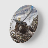 Bald Eagle met eaglets Ronde Klok (Hoek)