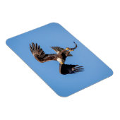 Bald Eagle met een vis Magneet (Rechterzijde)