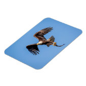Bald Eagle met een vis Magneet (Linkerzijde)