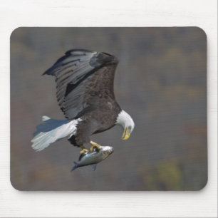 Bald Eagle met een vis Muismat