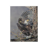 Bald Eagle met haar baby Notitieblok (Gedraaid)