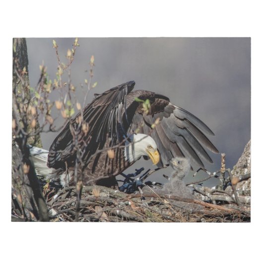 Bald Eagle met haar baby Notitieblok (Voorkant)