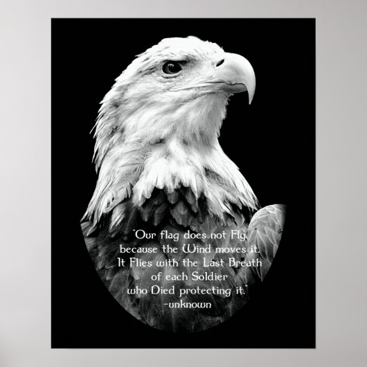Bald Eagle met patriottische prijsopgave Poster (Voorkant)