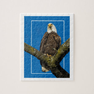 Bald Eagle met rand Legpuzzel