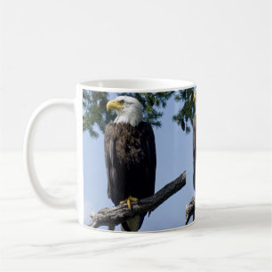 Bald Eagle Mokken