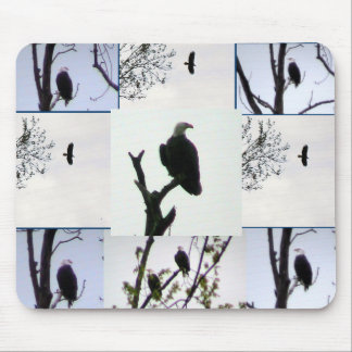 Bald eagle Montage Muismat