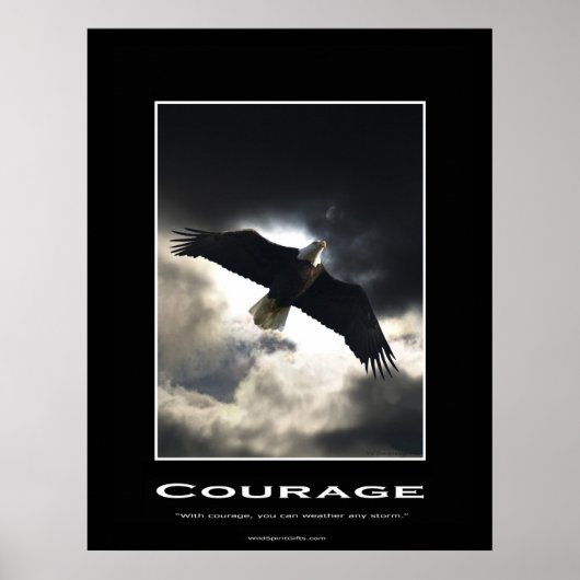 Bald Eagle Motivatie Poster (Voorkant)