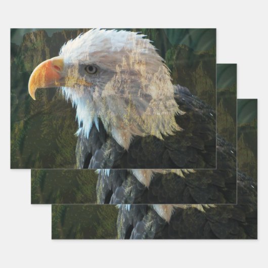 Bald Eagle Mountain Inpakpapier Vel (Set)