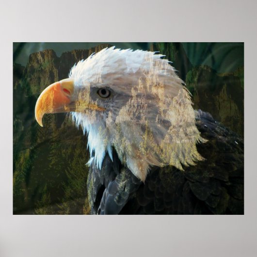 Bald Eagle Mountain Poster (Voorkant)