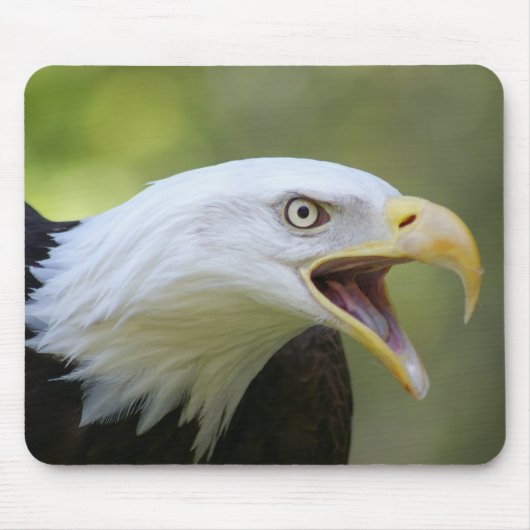 Bald Eagle mousepad Muismat (Voorkant)