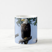 Bald Eagle Mugs (Centre)