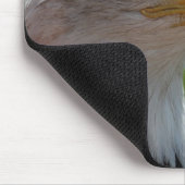 Bald eagle muismat (Hoek)