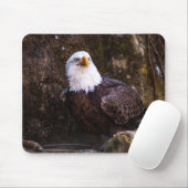 Bald Eagle Muismat (Met muis)