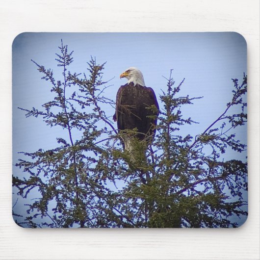Bald Eagle Muismat (Voorkant)