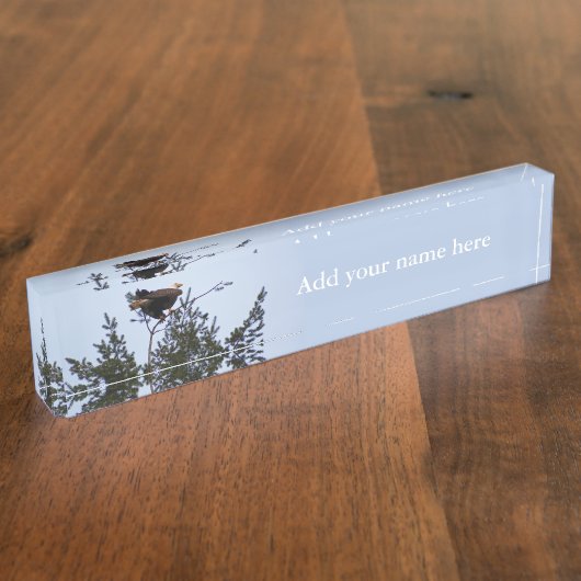 Bald Eagle Naambordje (Zijkant)