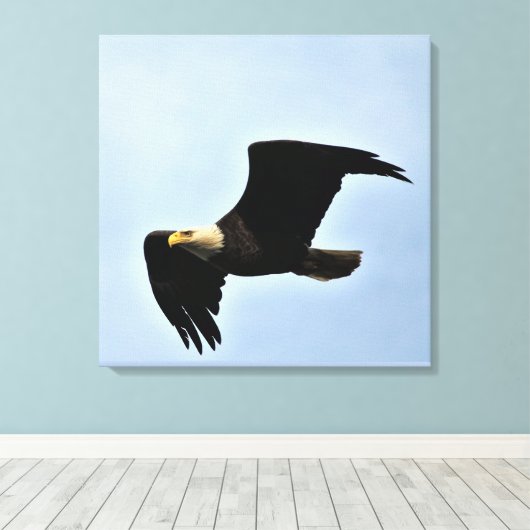 Bald Eagle Natuur Portret Canvas Afdruk (Insitu (Houten vloer))