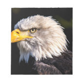 Bald Eagle Notitieblok (Voorkant)