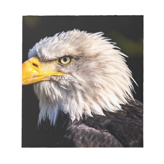 Bald Eagle Notitieblok (Voorkant)