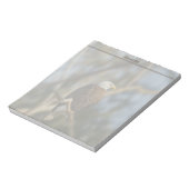 Bald Eagle Notitieblok (Gedraaid)