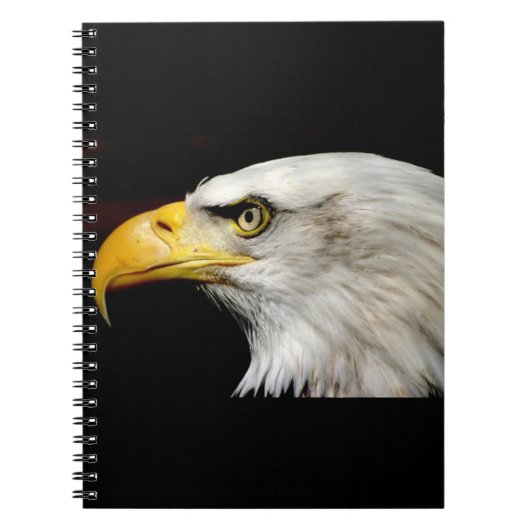 Bald Eagle Notitieboek (Voorkant)