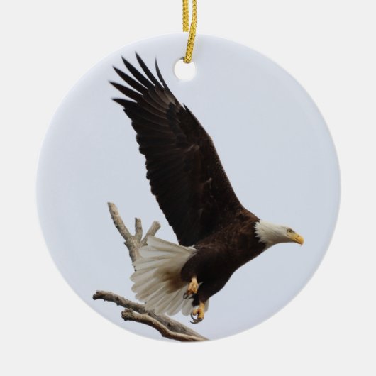 Bald Eagle of Columbiana Ohio Ornament (Voorkant)