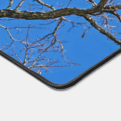 Bald Eagle on Blue Bureaumat (Hoek)