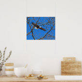 Bald Eagle on Blue Poster (Keuken)