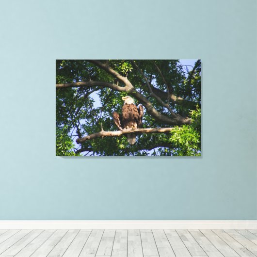 Bald Eagle on Branch Portrait Canvas Afdruk (Insitu (Houten vloer))