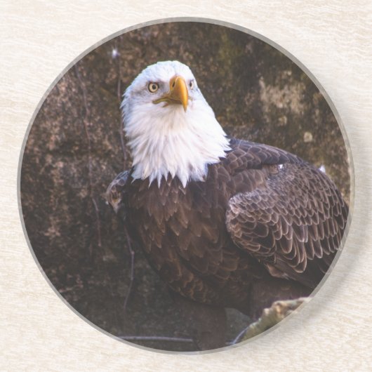 Bald Eagle Onderzetter (Voorkant)