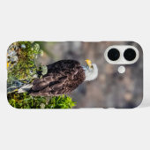 Bald Eagle op de rots Case-Mate iPhone Case (Achterkant (horizontaal))