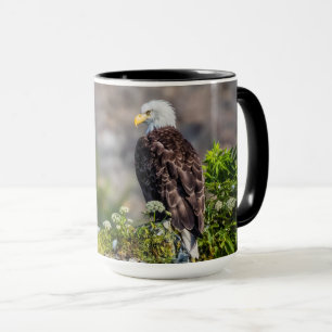 Bald Eagle op de rots Mok