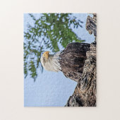 Bald Eagle op een boomtak Legpuzzel (Verticaal)