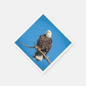 Bald Eagle op een boomtak Servetten (Hoek)