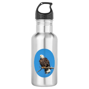 Bald Eagle op een boomtak Waterfles