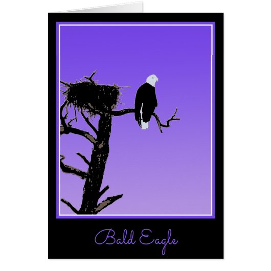 Bald Eagle op zonsondergang - Originele Wilde Kuns (Voorkant)