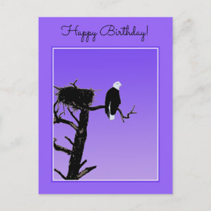 Bald Eagle op zonsondergang - Originele Wilde Kuns Briefkaart