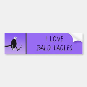 Bald Eagle op zonsondergang - Originele Wilde Kuns Bumpersticker