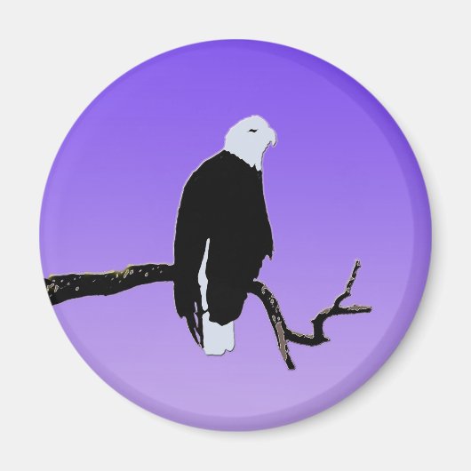 Bald Eagle op zonsondergang - Originele Wilde Kuns Magneet (Voorkant)