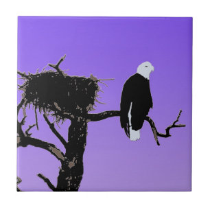 Bald Eagle op zonsondergang - Originele Wilde Kuns Tegeltje