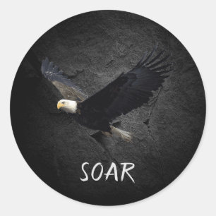 Bald Eagle op zwarte rots Ronde Sticker
