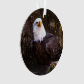 Bald Eagle Ornament (voorkant)
