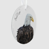 Bald Eagle Ornament (voorkant)