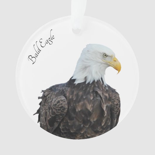 Bald Eagle Ornament (voorkant)