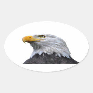 Bald Eagle Ovale Sticker