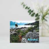 Bald Eagle over de kust van Alaska Briefkaart (Staand voorkant)