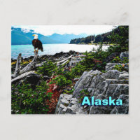 Bald Eagle over de kust van Alaska