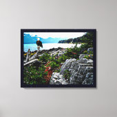 Bald Eagle over de kust van Alaska Canvas Afdruk (Voorkant)